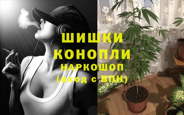 МДПВ Верхний Тагил