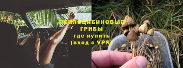 МДПВ Верхний Тагил
